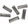 Set de arcuri pentru ambreiaj set de 6 ALTELE 501-48-06125