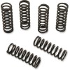 Set arcuri ambreiaj set de 6 ALTELE 501-53-06114