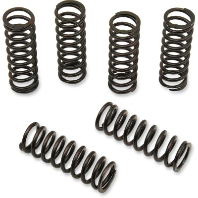 Set arcuri ambreiaj set de 6 ALTELE 501-53-06114