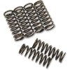 Set arcuri ambreiaj set de 6 ALTELE 501-42-06127