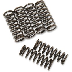Set arcuri ambreiaj set de 6 ALTELE 501-42-06127