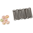 Set arcuri ambreiaj set de 6 ALTE 505-42-06031 Set arcuri ambreiaj set de 6 ALTE 505-42-06031 thumb