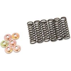 Set arcuri ambreiaj set de 6 ALTE 505-42-06031 Set arcuri ambreiaj set de 6 ALTE 505-42-06031