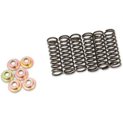 Set arcuri ambreiaj set de 6 ALTE 505-42-06031