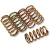 Set de arcuri de ambreiaj SET OF 5 ALTELE 501-45-05050