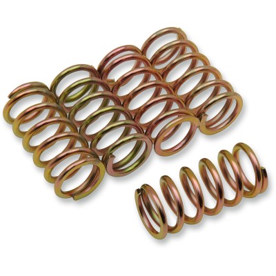 Set de arcuri de ambreiaj SET OF 5 ALTELE 501-45-05050