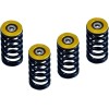 Set arcuri ambreiaj DUCATI gold set de 6 ALTE 519-25-06090