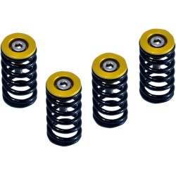Set arcuri ambreiaj DUCATI gold set de 6 ALTE 519-25-06090 Set arcuri ambreiaj DUCATI gold set de 6 ALTE 519-25-06090