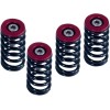 Set de arcuri pentru ambreiaj DUCATI negru set de 6 ALTE 519-25-06098