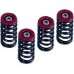 Set de arcuri pentru ambreiaj DUCATI negru set de 6 ALTE 519-25-06098 Set de arcuri pentru ambreiaj DUCATI negru set de 6 ALTE 519-25-06098 thumb
