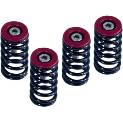 Set de arcuri pentru ambreiaj DUCATI negru set de 6 ALTE 519-25-06098 Set de arcuri pentru ambreiaj DUCATI negru set de 6 ALTE 519-25-06098