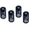 Set de arcuri de ambreiaj DUCATI roșu set de 6 ALTE 519-25-06095