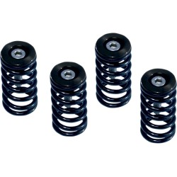 Set de arcuri de ambreiaj DUCATI roșu set de 6 ALTE 519-25-06095 Set de arcuri de ambreiaj DUCATI roșu set de 6 ALTE 519-25-06095