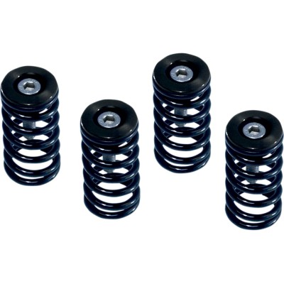 Set de arcuri de ambreiaj DUCATI roșu set de 6 ALTE 519-25-06095