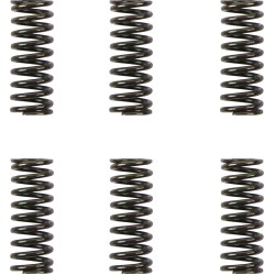 Set arcuri ambreiaj set de 6 ALTE 501-42-06111 Set arcuri ambreiaj set de 6 ALTE 501-42-06111
