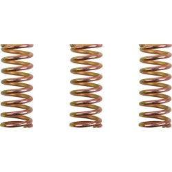 Set arcuri de ambreiaj (3 bucăți) ALTELE 501-35-03099 Set arcuri de ambreiaj (3 bucăți) ALTELE 501-35-03099
