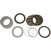 Set de discuri de fricțiune și oțel pentru ambreiaj SCORPION (umed) ALTE 306-32-20443