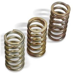 Set arcuri ambreiaj DUC 16-19 ALTE 501-48-03125 Set arcuri ambreiaj DUC 16-19 ALTE 501-48-03125