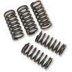 Set de arcuri de ambreiaj SET OF 5 ALTE 501-63-05014 Set de arcuri de ambreiaj SET OF 5 ALTE 501-63-05014 thumb