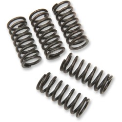 Set de arcuri de ambreiaj SET OF 5 ALTE 501-63-05014