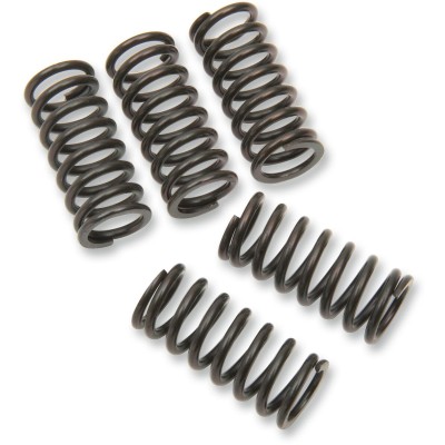 Set de arcuri de ambreiaj SET OF 5 ALTE 501-63-05014