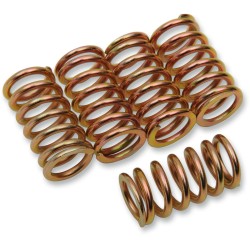 Set arcuri de ambreiaj SET OF 5 ALTELE 501-56-05015 Set arcuri de ambreiaj SET OF 5 ALTELE 501-56-05015