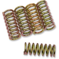 Set de arcuri de ambreiaj SET OF 5 ALTELE 501-75-05005