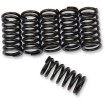 Set de arcuri pentru ambreiaj set de 6 ALTELE 501-56-06021 Set de arcuri pentru ambreiaj set de 6 ALTELE 501-56-06021 thumb