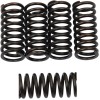 Set de arcuri de ambreiaj SET OF 5 ALTE 501-40-05039