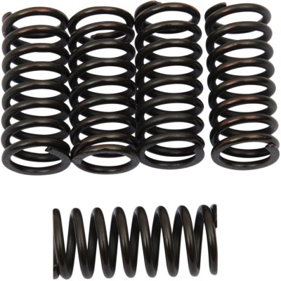 Set de arcuri de ambreiaj SET OF 5 ALTE 501-40-05039