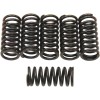 Set de arcuri pentru ambreiaj set de 6 ALTE 501-40-06039