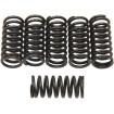 Set de arcuri pentru ambreiaj set de 6 ALTE 501-40-06039 Set de arcuri pentru ambreiaj set de 6 ALTE 501-40-06039 thumb