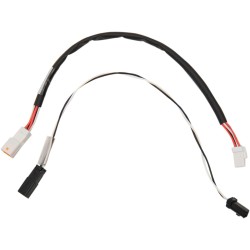 Extensie pentru accelerație electronică 12 ALTE 152-30-30312 Extensie pentru accelerație electronică 12 ALTE 152-30-30312