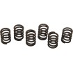 Set arcuri ambreiaj set de 6 ALTELE 501-38-06012 Set arcuri ambreiaj set de 6 ALTELE 501-38-06012 thumb