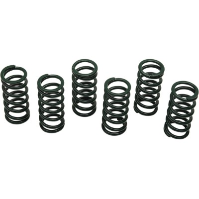 Set de arcuri pentru ambreiaj set de 6 ALTELE 501-82-06023