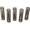 Set de arcuri de ambreiaj SET OF 5 ALTELE 501-59-05098 Set de arcuri de ambreiaj SET OF 5 ALTELE 501-59-05098 thumb