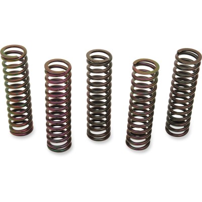 Set de arcuri de ambreiaj SET OF 5 ALTELE 501-59-05098