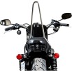 Sissybar XL 04-21 CHR BILTWELL 5003-502 Sissybar XL 04-21 CHR BILTWELL 5003-502 thumb