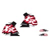 Set grafic DR4 XR600 88-99 BLACKBIRD RACING 2106