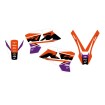 Set grafic DREAM 5 SX 01-04 BLACKBIRD RACING 2517AB Set grafic DREAM 5 SX 01-04 BLACKBIRD RACING 2517AB thumb