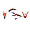 Set grafică DREAM 5 FREERIDE BLACKBIRD RACING 2540AB thumb