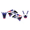 Set grafic DREAM 5 YZ 96-01 BLACKBIRD RACING 2233AB