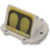 Supape de carbon RAD BOYESEN RAD-02H