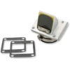 Supape din carbon RAD BOYESEN RAD-10E