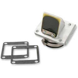 Supape din carbon RAD BOYESEN RAD-10E Supape din carbon RAD BOYESEN RAD-10E