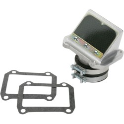 Supape din carbon RAD BOYESEN RAD-42D