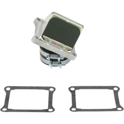 Supape din carbon RAD BOYESEN RAD-01B