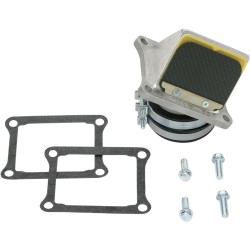 Supape din carbon RAD BOYESEN RAD01E Supape din carbon RAD BOYESEN RAD01E