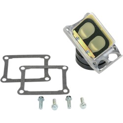 Supape din carbon RAD BOYESEN RAD-01G