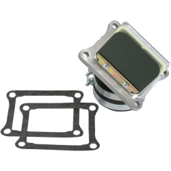 Supape din carbon RAD BOYESEN RAD-01A Supape din carbon RAD BOYESEN RAD-01A
